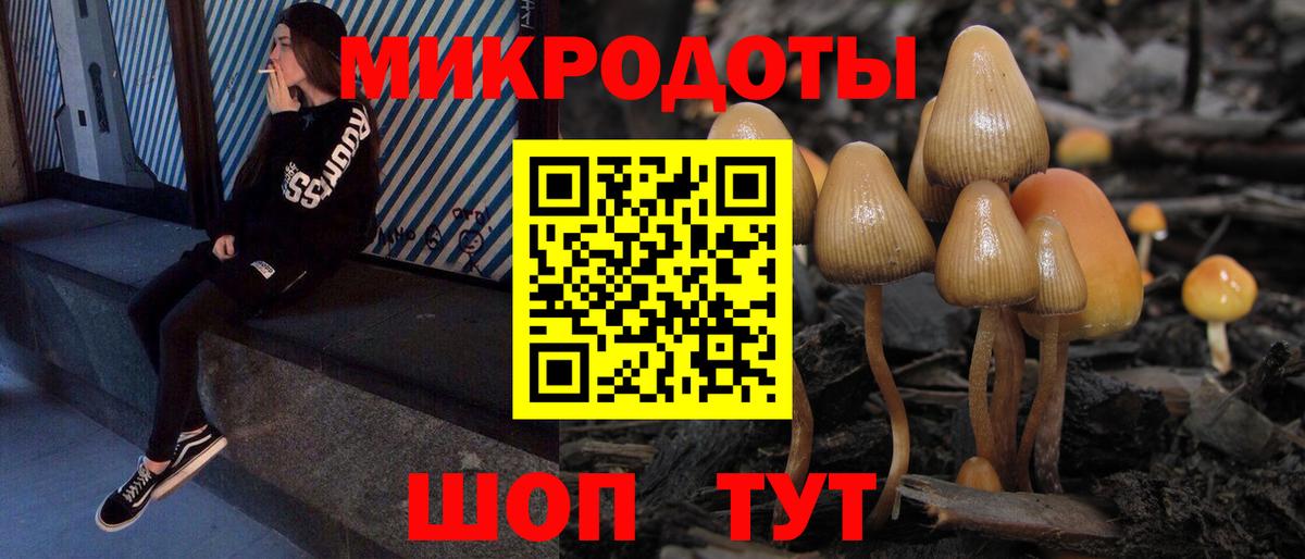Галлюциногенные грибы ЛСД Новозыбков